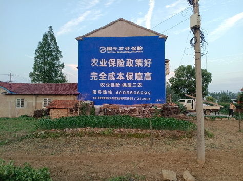 新余墙体广告的优劣势你知道吗？